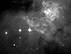Trapezium Area in Orion Nebula